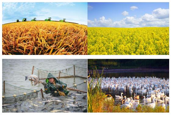 1670830405431786.jpg 1-1Z92Q63501b4.jpg