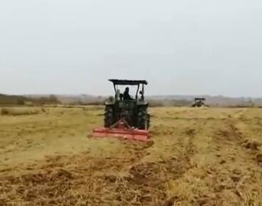 耕地种植有机油菜