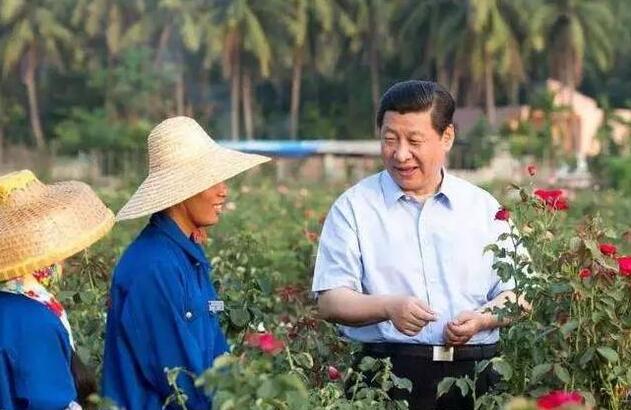 1670837495468069.jpg 4.jpg